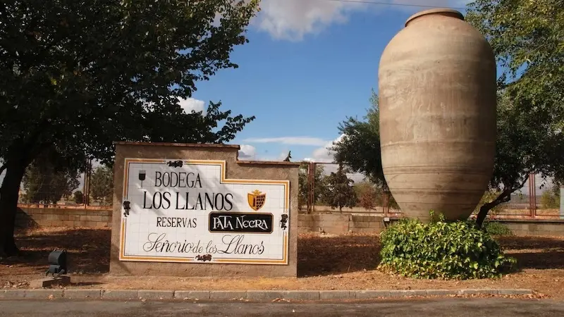 García Carrión se suma a la movilización de las agricultores para defender la DO Valdepeñas