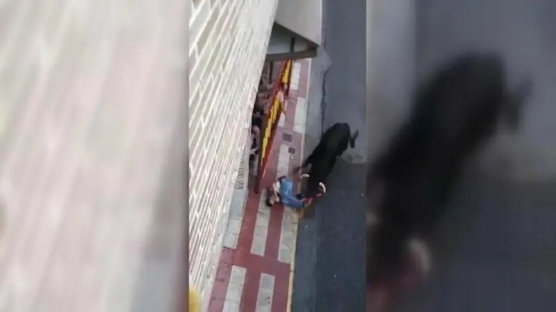 Herido grave un hombre tras ser corneado en un encierro en Portillo de Toledo