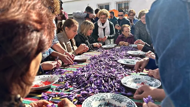La pedanía albaceteña de Santa Ana celebra el 37 Festival de la Rosa del Azafrán