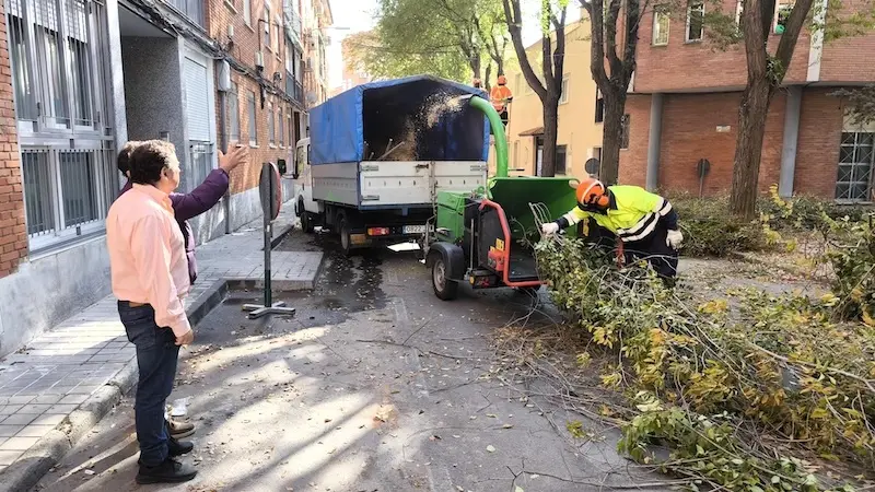 Comienza la campaña de poda que llegará a más de 15.000 árboles de Ciudad Real