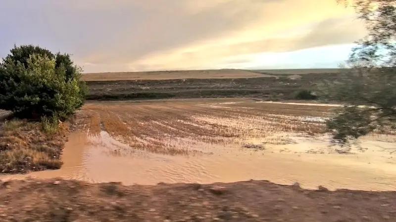 Asaja pide medidas urgentes para el campo afectado por la dana en Albacete y Cuenca, agricultura, dana, tormenta, campo, cultivos, daños, seguros, temporal, 