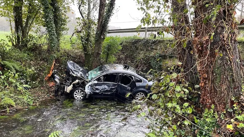 Muere un joven de 27 años tras salirse de la carretera su coche y caer a un río - Fotografía: El Progreso