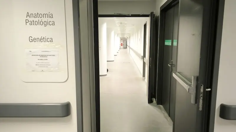 CSIF reclama subsanar deficiencias del Laboratorio de Anatomía Patología del HUT