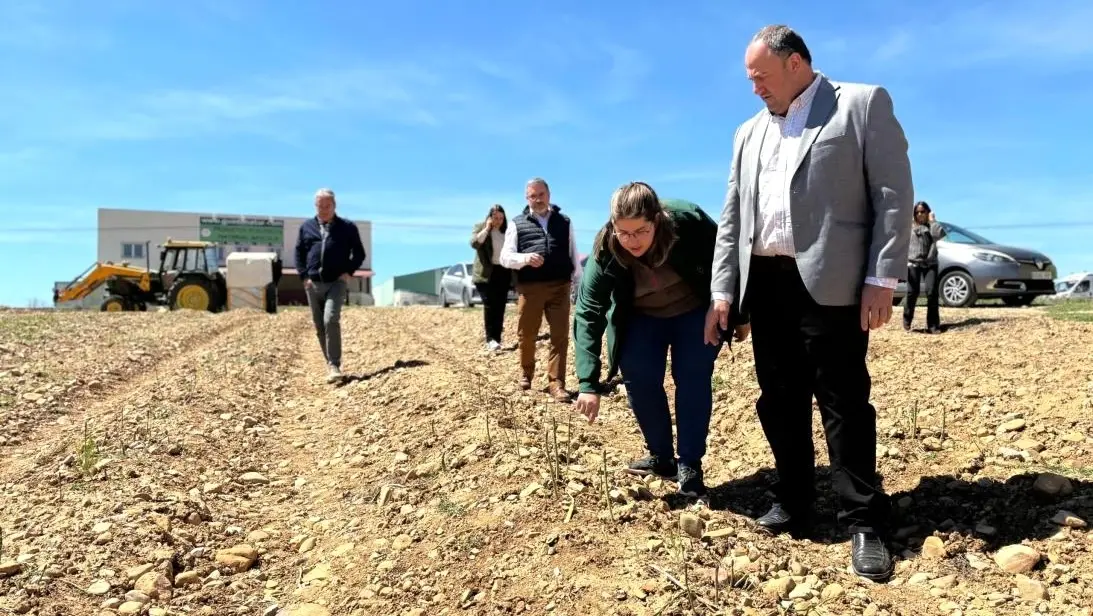 El consejero de Agricultura, Ganadería y Desarrollo Rural, Julián Martínez Lizán, en su visita a la explotación de una joven en la región