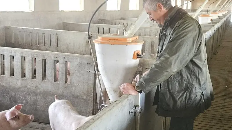 El concejal de Agricultura, Ganadería y Entorno Rural del Ayuntamiento de Talavera de la Reina (Toledo), Gerardo Sánchez, en una explotación porcina