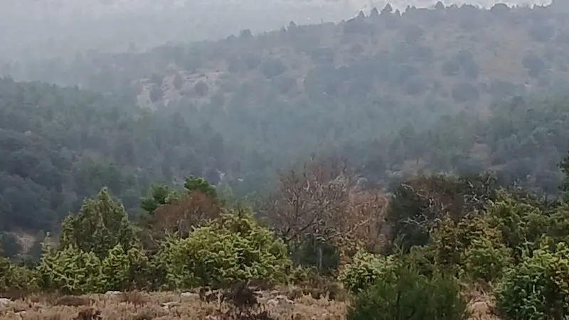 La Junta declara de utilidad pública casi 900 hectáreas de monte de Cañete (Cuenca)