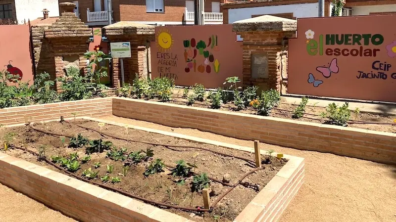 Unos 130 centros de Toledo participarán en nueva edición de 'Huertos Ecológicos'