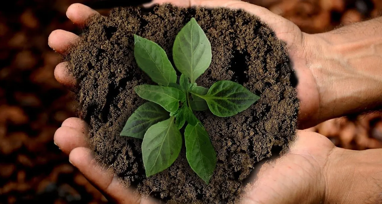 Bioeconomía circular: el futuro de la sostenibilidad agroalimentaria