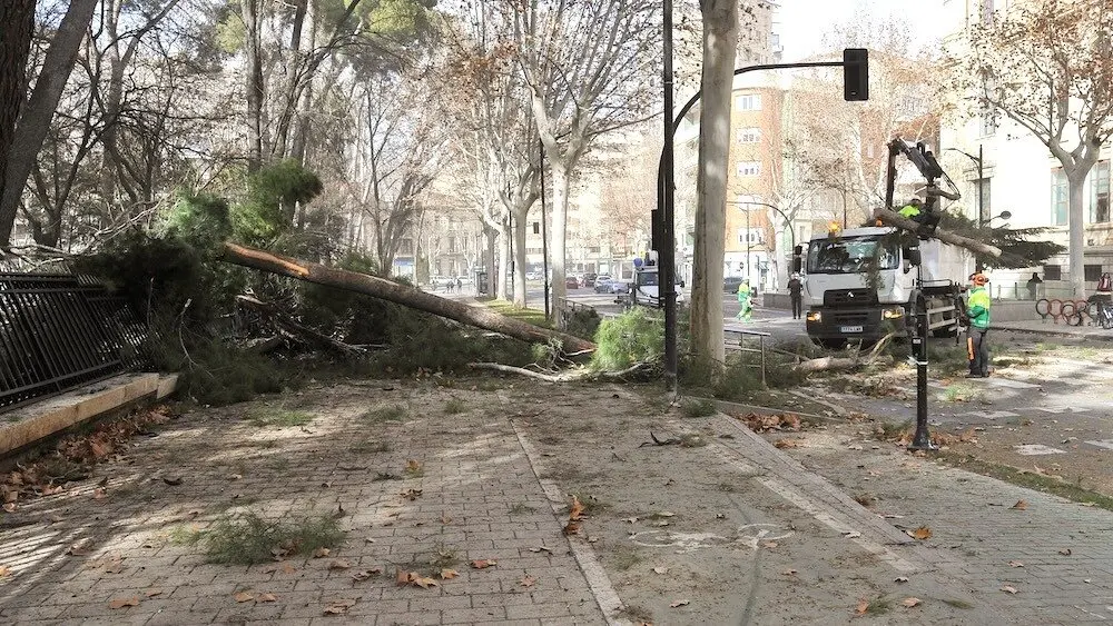 Las fuertes rachas de viento, que han llegado hasta los 109 kilómetros por hora en Albacete, han dejado numerosas incidencias en la provincia, la mayoría de ellas en la capital, donde el viento del suroeste ha llegado a soplar hasta los 95 kilómetros por hora - EFE/ Manu