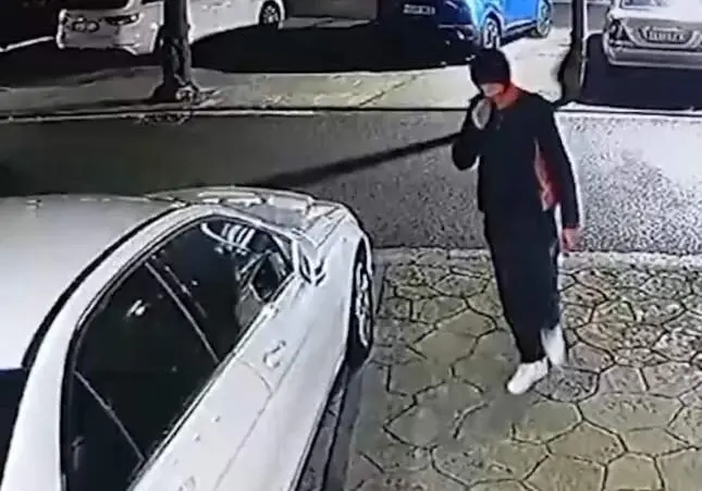 VIDEO. Roba en 13 coches en horas, pero se deja grabar y lo mancha todo de sangre