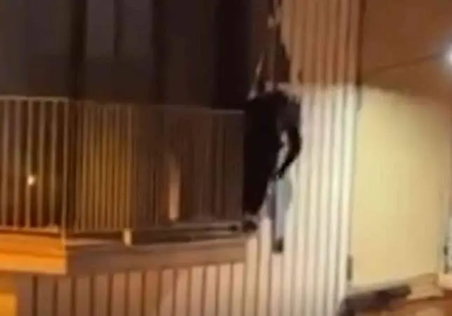 VIDEO. Destroza la fachada intentando ocupar un piso y tira piedras a los policías