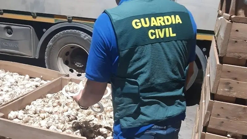 Dos detenidos y cuatro investigados por estafas con ajo de Las Pedroñeras (Cuenca)
