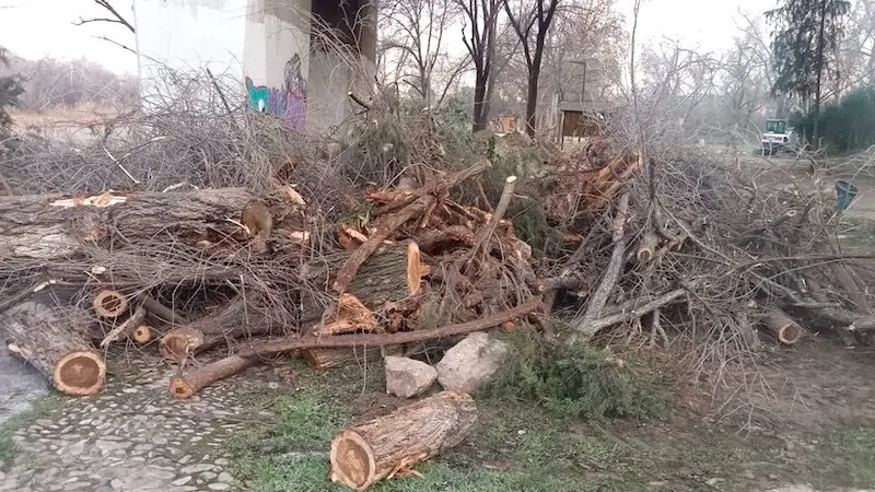 Denuncian la política de desmantelamiento de zonas verdes sin control en Toledo