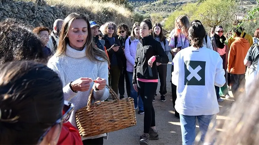 Las empresas turísticas pioneras son las más sostenibles, según un estudio de la UCLM
