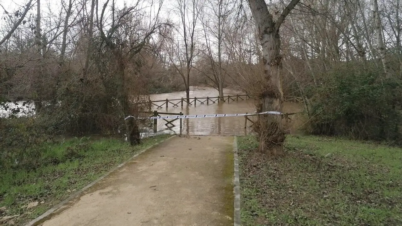 Cortan el acceso al parque fluvial del río Henares a su paso por Guadalajara por la lluvia