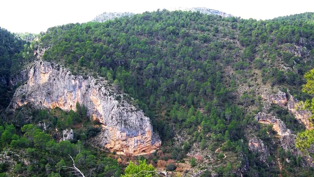 Los siete parques naturales de Castilla-La Mancha realizarán actividades por el Día de los Bosques