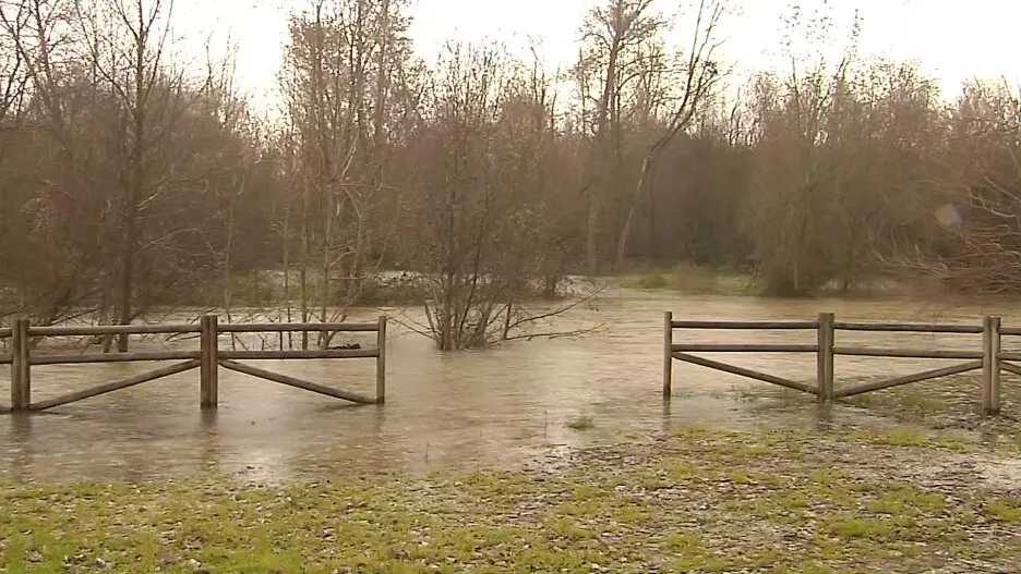 Imagen del río Alberche a su paso por la localidad toledana de Escalona este domingo - Fotografía: CMM