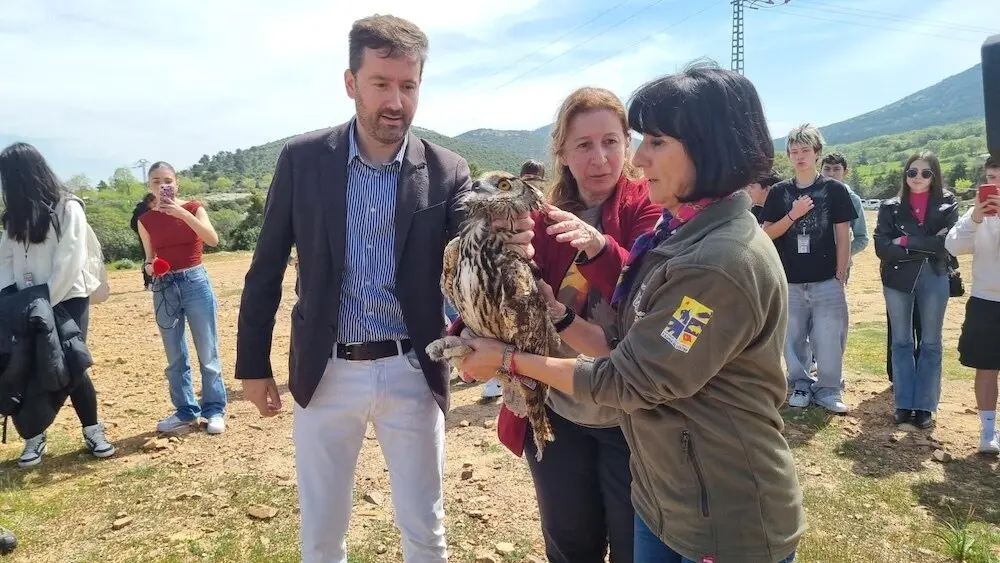 Liberan cinco ejemplares de aves recuperados en el CERI de Sevilleja de la Jara (Toledo)