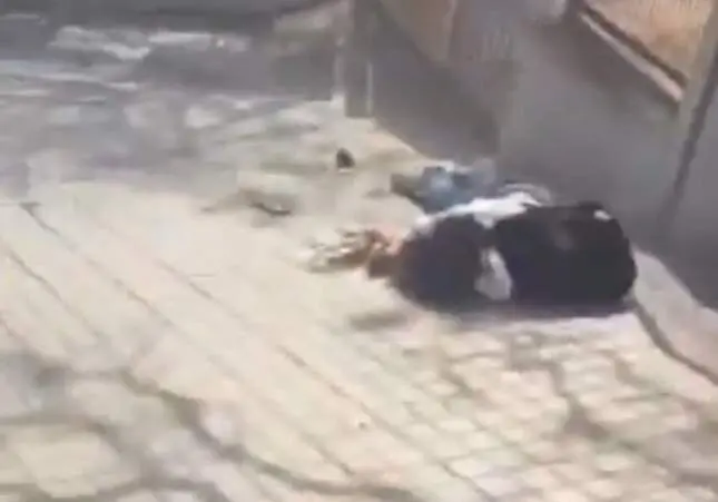 VIDEO. Brutal paliza grupal a un chico menor de edad a las puertas de un instituto