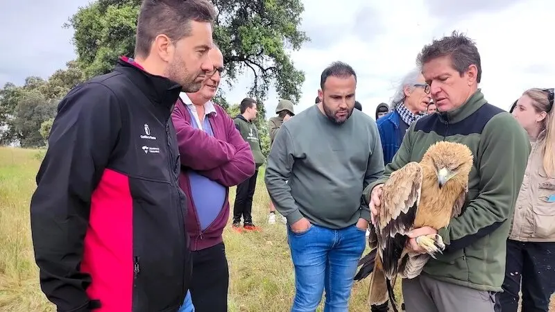 Vuelve a su hábitat natural un águila imperial tratada en el CERI de Sevilleja de la Jara (Toledo)