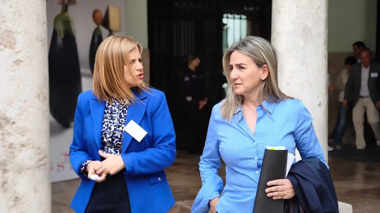 La delegada del Gobierno en Castilla-La Mancha, Milagros Tolón, ha participado este jueves en las primera sesión de las XXX Jornadas Europeas de los Representantes Territoriales del Estado (AERTE), que se celebran estos días en Valencia