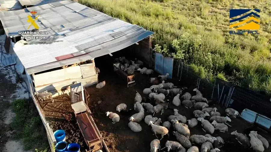 Golpe a una red que vendía a restaurantes y online carne de animales sacrificados ilegalmente