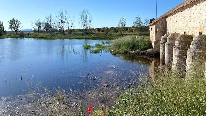 Ecologistas, SEO/BIRDLIFE y WWF reclaman una solución estructural "urgente" al deterioro de Las Tablas de Daimiel