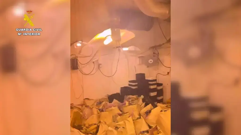 Seis detenidos de un grupo dedicado al cultivo y tráfico de droga en Villarrubia de los Ojos (Ciudad Real)