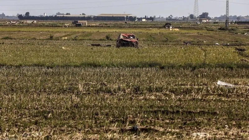Restos de la DANA en un campo de arrozales - Archivo/EP/Rober Solsona