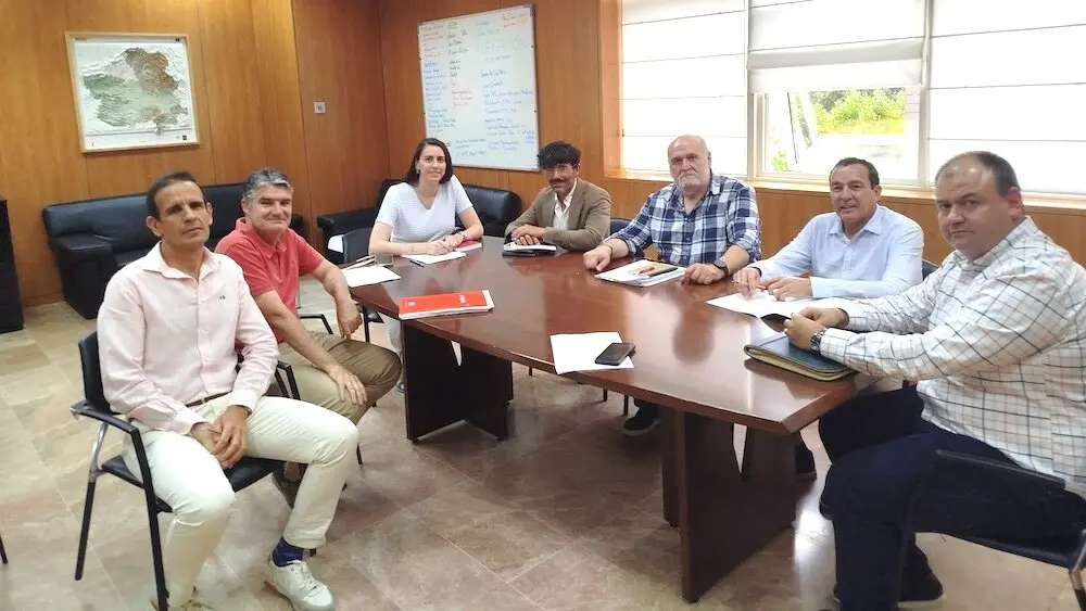 Taxistas piden una moratoria de un año a nuevas licencias VTC por "crecimiento descontrolado"