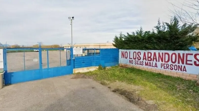 El Ayuntamiento de Talavera niega maltrato en el centro de recogida de animales