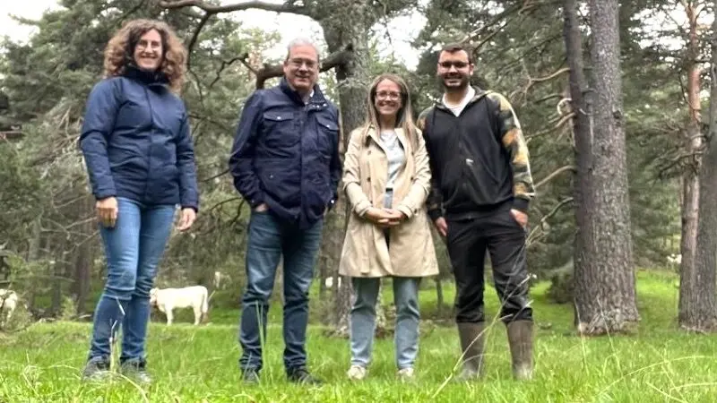 La Junta destina 151.000 euros en ayudas para proteger al ganado de ataques de lobos