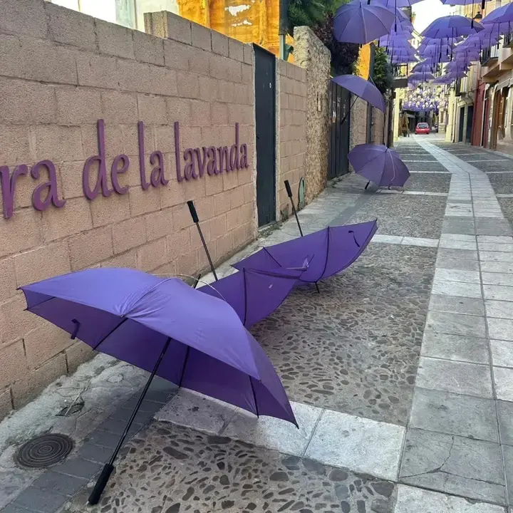 La decoración del Festival de Lavanda de Brihuega (Guadalajara) sufre varios actos vandálicos