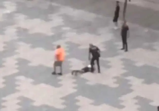 VIDEO. Pelea a golpes y con armas blancas: uno de los agresores está detenido