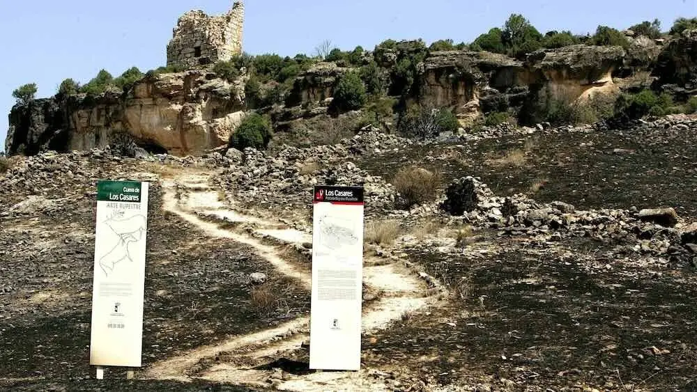 Paraje de pinares conocido como la Cueva de los Casares, en Riba de Saelices (Guadalajara), donde se originó el incendio que le costó la vida a once agentes de extinción - EFE/Javier Lizón/Archivo