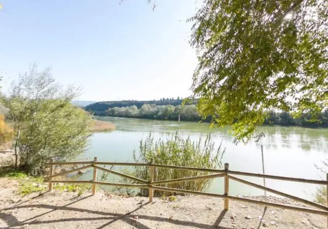 Muere ahogado un joven de 30 años al caer al río cuando estaba con unos amigos