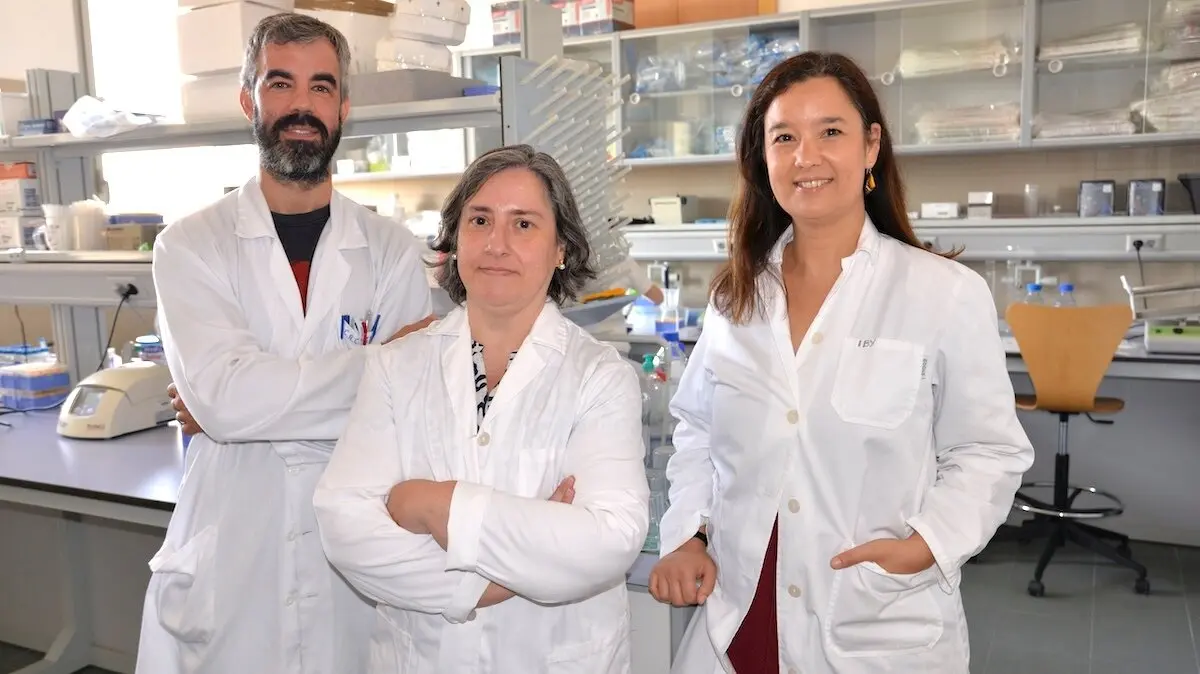Un estudio pionero de la UCLM muestra que la combinación de cocaína y alcohol produce un daño cerebral mayor que su consumo por separado