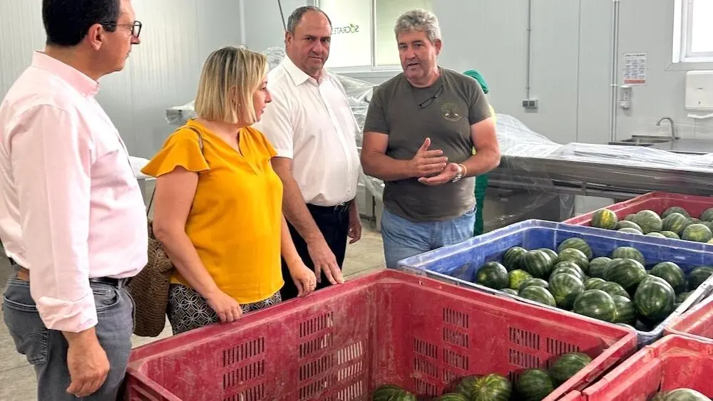 El consejero de Agricultura, Ganadería y Desarrollo Rural, Julián Martínez Lizán, durante la visita que ha realizado a la empresa Sócrates Hortícola S.L. en Camuñas (Toledo)