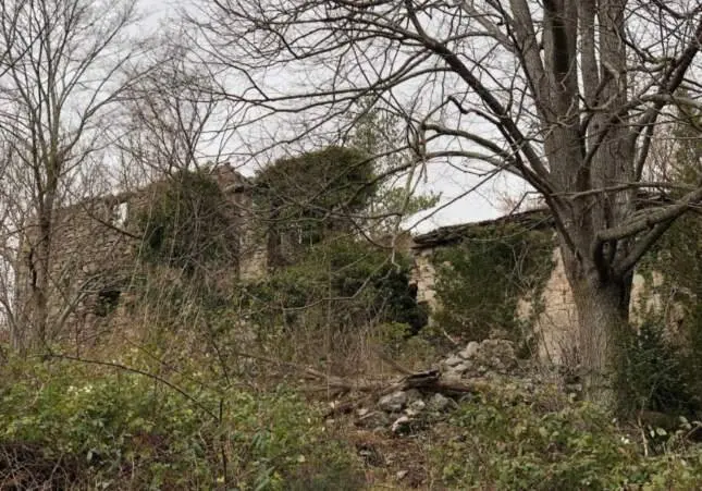 Macabro hallazgo: hallan un cadáver en los huesos semienterrado en un paraje