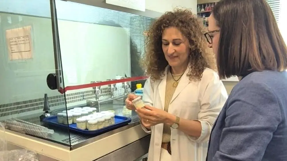 La Junta financia un proyecto de investigación para la mejora de análogos lácteos vegetales