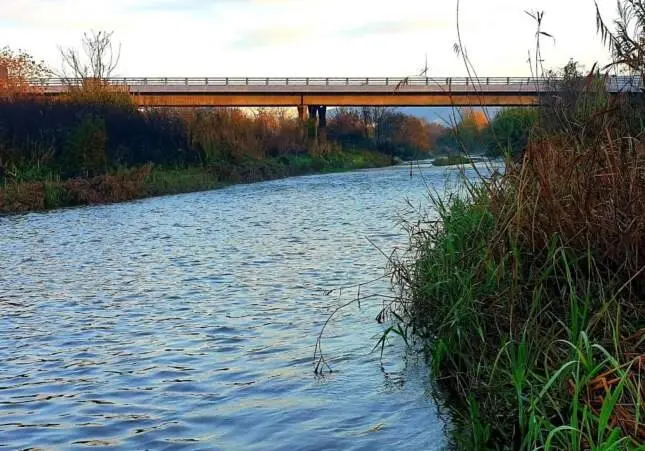 Muere ahogado un chico de 15 años después de saltar a una laguna y no poder salir