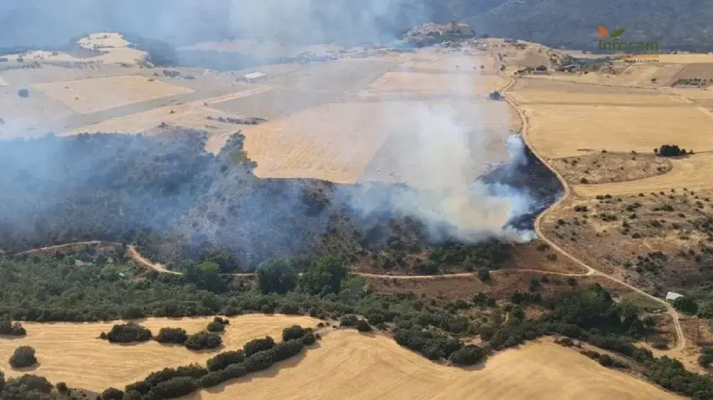 Agroseguro prevé 165.700 euros en indemnizaciones a ganaderos por incendios en Castilla-La Mancha