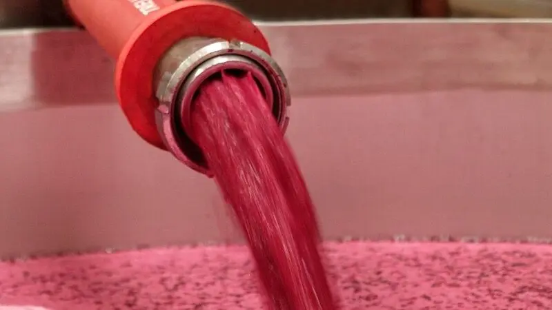 Instan a no vender vino por debajo de los costes de producción en plena vendimia