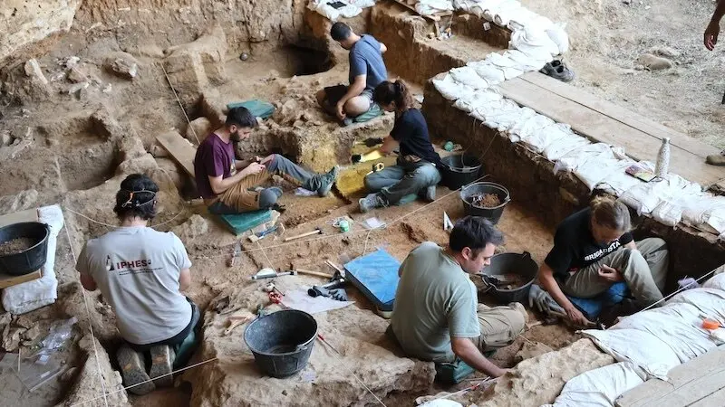 Restos de La Malia revelan los caballos ibéricos más antiguos hallados hasta hoy