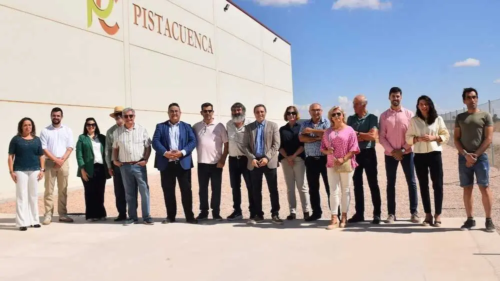 Pistacuenca, que agrupa a 34 productores de pistacho, espera una cosecha de 150 toneladas