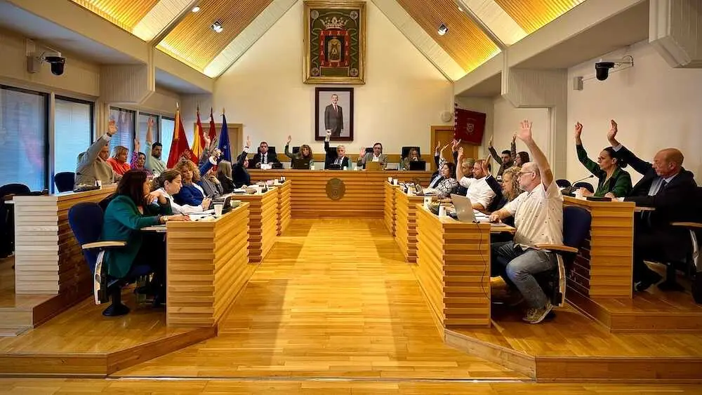 En la imagen un instante del Pleno del Ayuntamiento de Ciudad Real celebrado este viernes