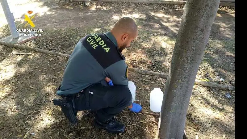 Un investigado por causar la muerte de cien gatos mediante envenenamiento