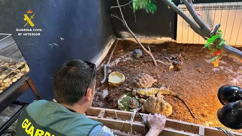 Intervienen 472 animales exóticos protegidos en un falso refugio en un pueblo