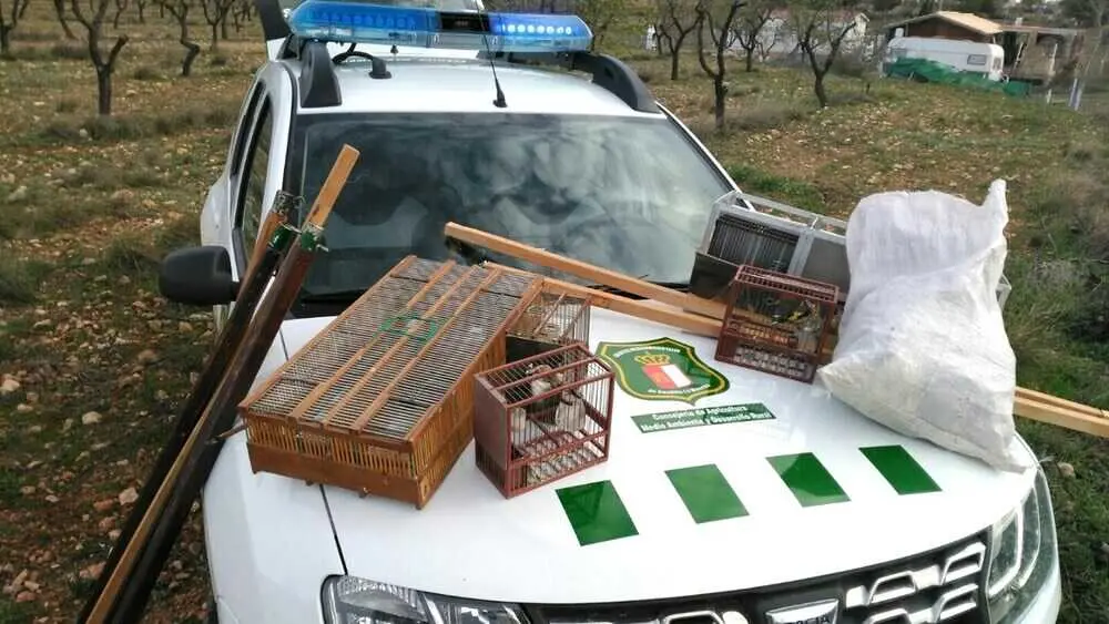 Confirmada la condena a un hombre por cazar ilegalmente aves en Piedrabuena (Ciudad Real)