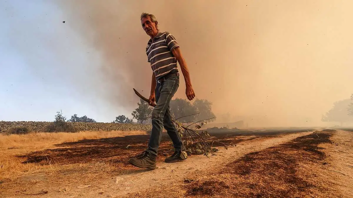 El Gobierno reparte 972.317 euros entre agricultores y ganaderos de Castilla-La Mancha por los incendios